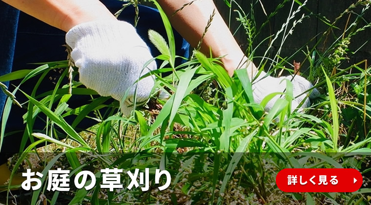 お庭の草刈り